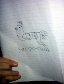 Dan's Salmo-Chicken Design