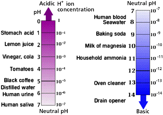Acid-base scales